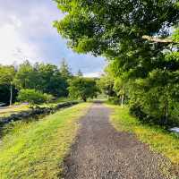 長野八千穗高原駒出池小木屋/露營區