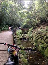 Tiger-Mountain in TAIPEI ⛰️