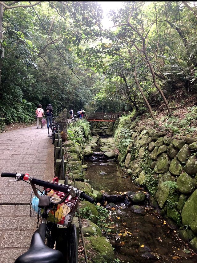Tiger-Mountain in TAIPEI ⛰️