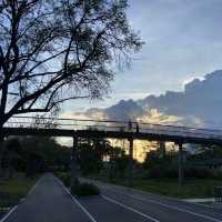 ไปออกกำลังกันที่สวนเบญจกิติ เดินทางสะดวกด้วย MRT