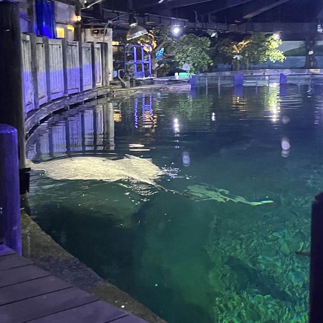 重返18歲:令人意猶未盡的地方-海洋公園