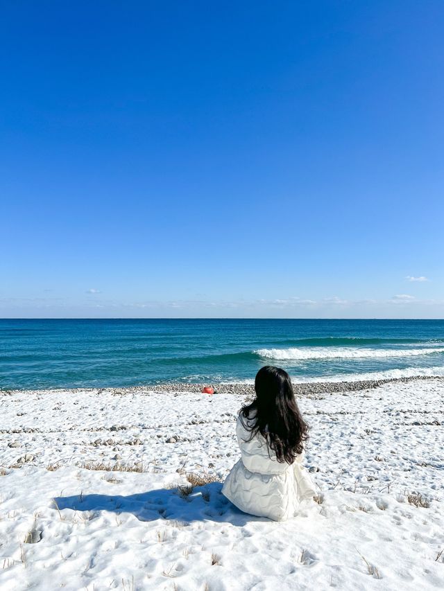 눈 쌓인 동해바다 로망 실현❄️🌊🤍
