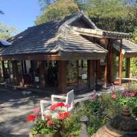 Bee & Rose café