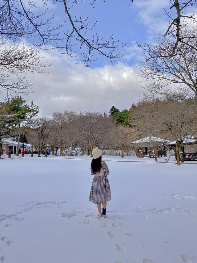 눈 쌓인 날 가면 더 좋은 힐링 명소, 제주 절물자연휴양림🌿