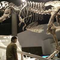 Interactive Experience at The Mind Museum