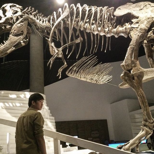 Interactive Experience at The Mind Museum