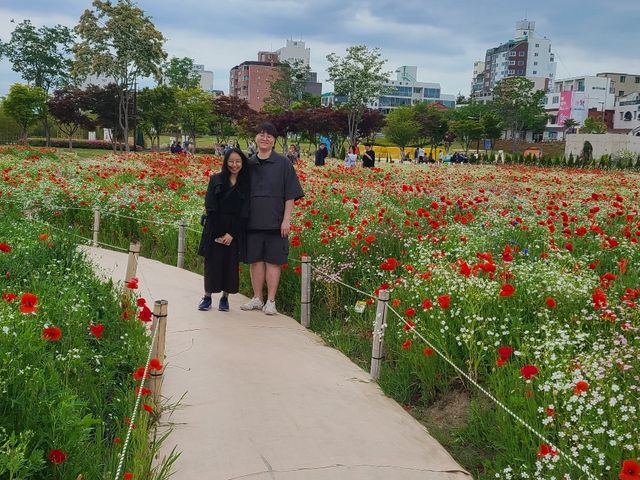 Beautiful Flower Park 