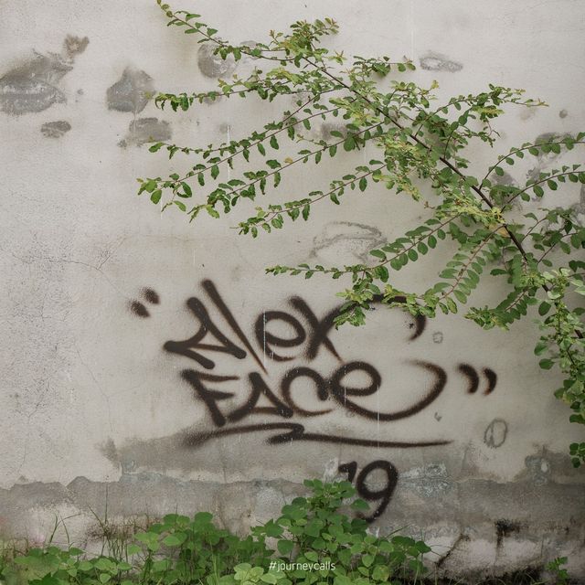 street art เมืองพังงา