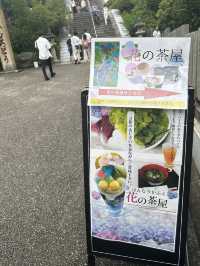 【京都】紫陽花スイーツ♡三室戸寺内カフェ〜花の茶屋〜