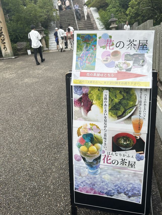 【京都】紫陽花スイーツ♡三室戸寺内カフェ〜花の茶屋〜