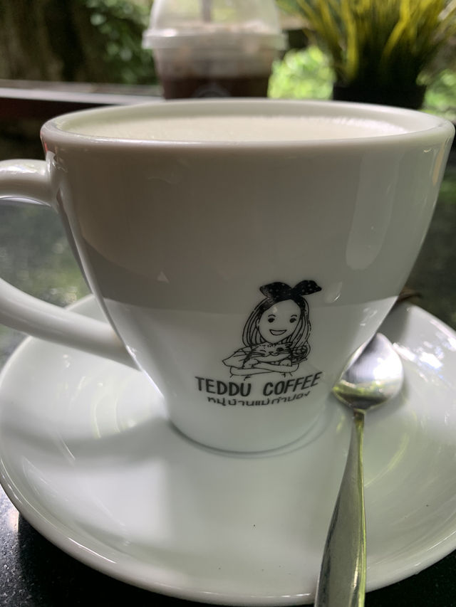 Teddu Coffee in แม่กำปอง