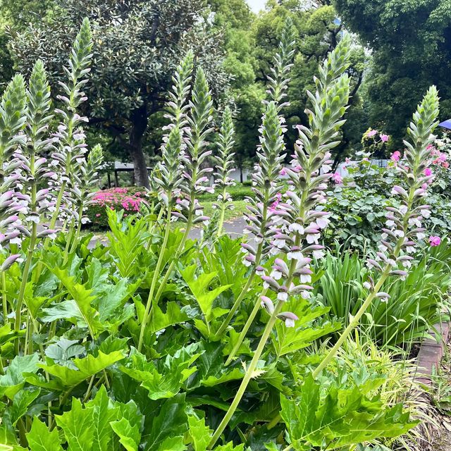 【都心のオアシス】日比谷公園