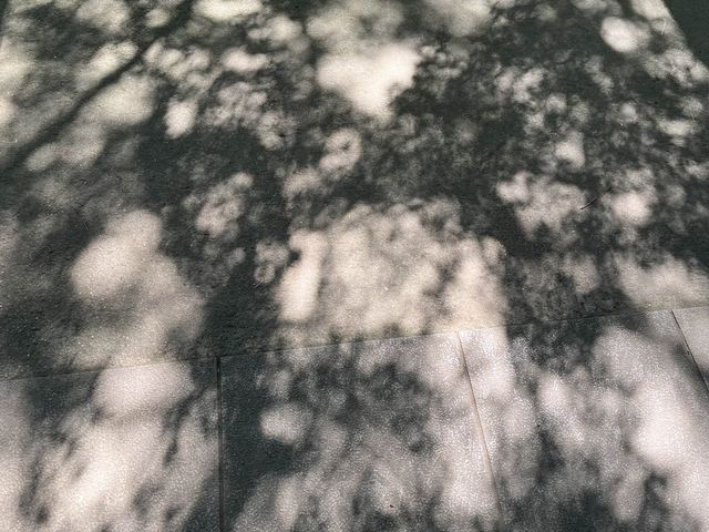 等々力不動尊@東京・世田谷⛩