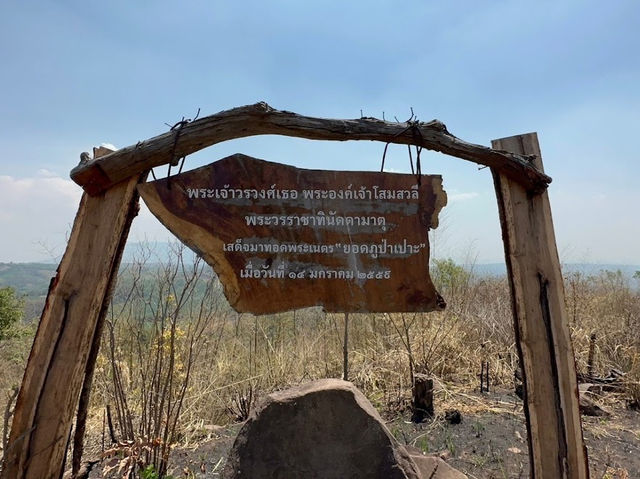 • จุดชมวิว ภูป่าเปาะ (จุดที่ 4) 🗻✨