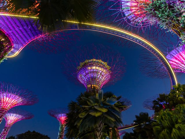 Gardens by The Bay สวนสวรรค์แห่งอนาคต