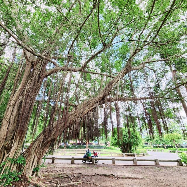 สวนสาธารณะ​พนัสนิคม