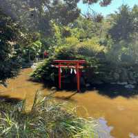 相模國一國一社 平塚八幡宮