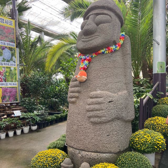 서울 근교 제주느낌 가득한 야자수 식물원카페 추천 🌴 