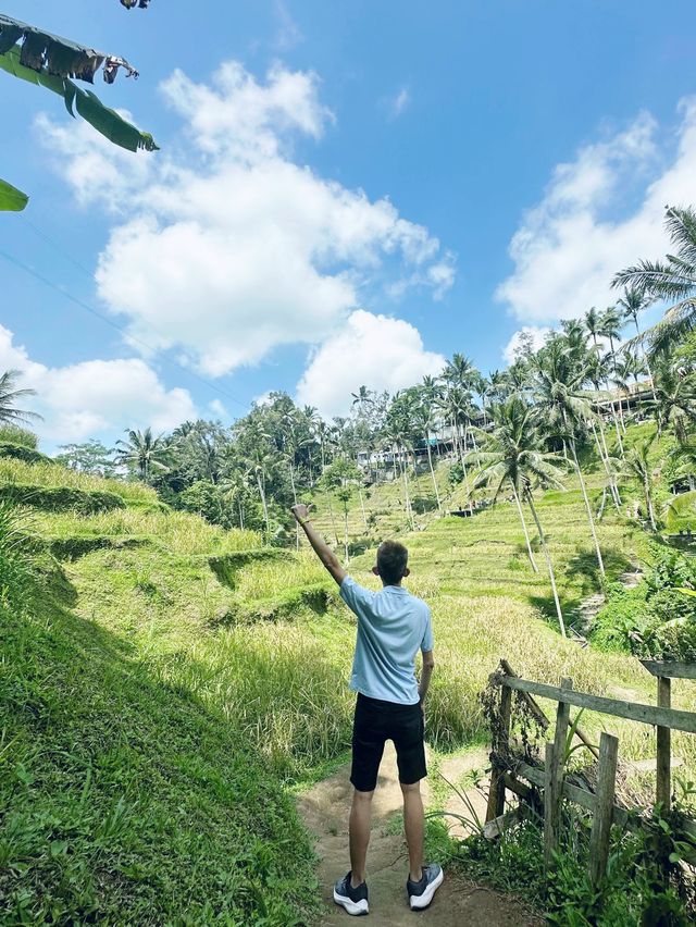 Let’s swing at paddy 🌾 fields in Bali 🇮🇩