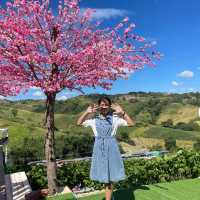 🌼🌼พักกายพักใจ💕💕ชมดอกไม้สวยๆๆ🪻🪻💐💐🌸🌼