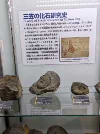 【北海道三笠】アンモナイトが沢山いる博物館