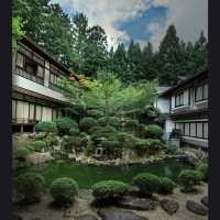 靈巖靜修！⛩️🧘 高野山
