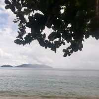 Adventures on Elephant Island