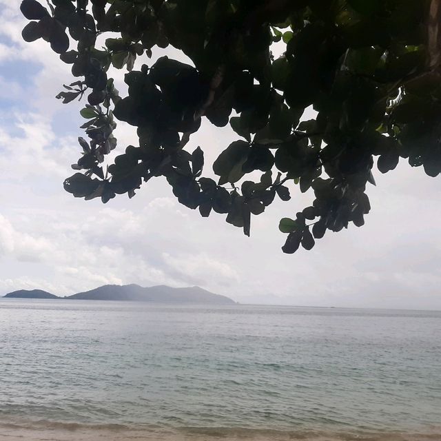 Adventures on Elephant Island