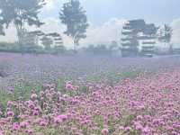 Secret Khao Yai  Flower garden