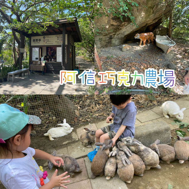睇得👀食得😋玩得🕺🏻巧克力農場