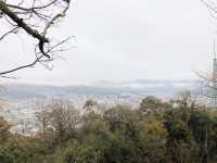 🏯四國愛媛松山城：江戶歷史、花海襯古城🏯