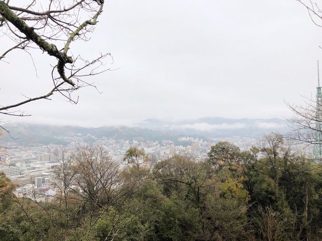 🏯四國愛媛松山城：江戶歷史、花海襯古城🏯