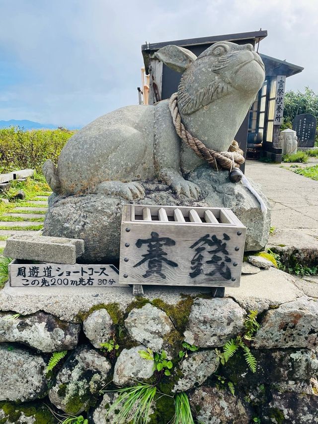 【山形県/御田原神社】2023年行ってよかった！山形県の神社⑦