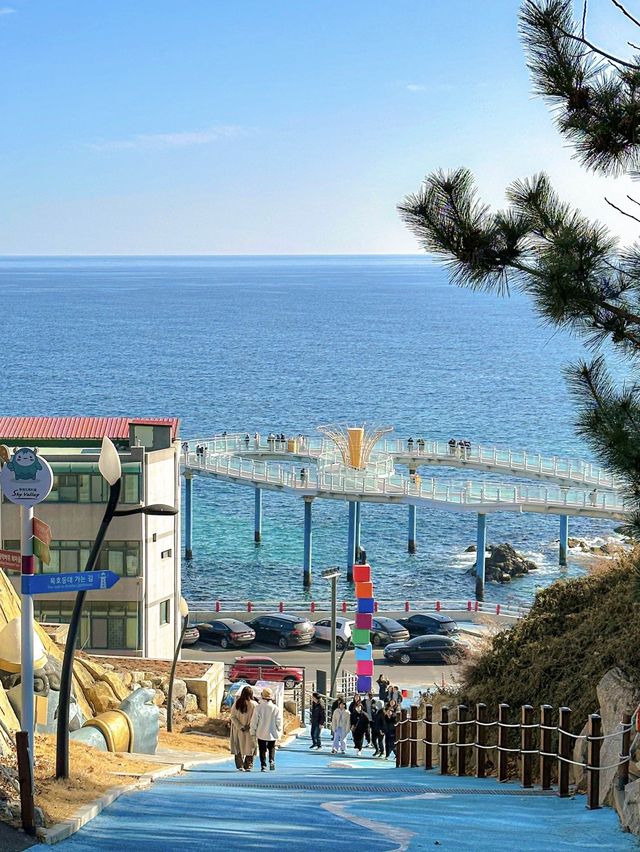 푸른 동해바다 바로 위에서 산책할 수 있는 해랑전망대 🌊🤍
