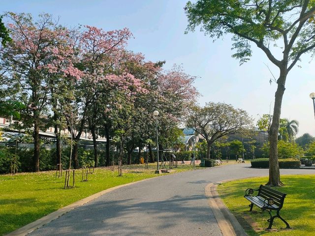 ชมพู่พันธุ์สวนจตุจักร