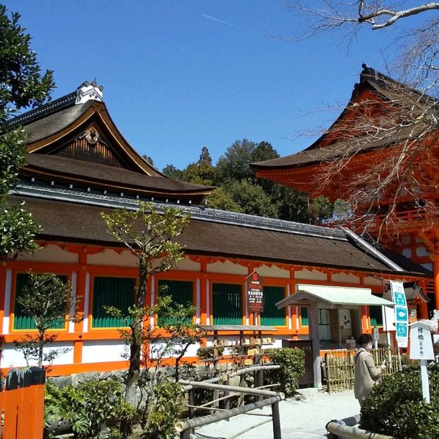 上賀茂神社の桜は五分咲きで華やかだった。