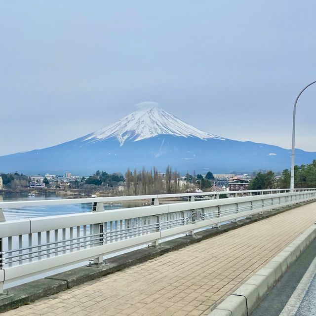 河口湖大橋