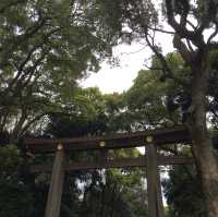 東京市內推薦景點🥰新手必去‼️明治神宮
