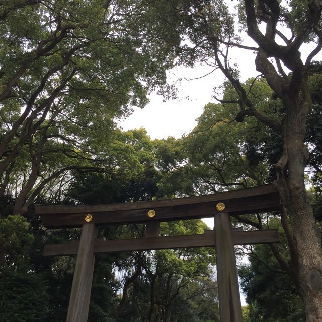 東京市內推薦景點🥰新手必去‼️明治神宮