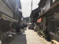 【佐賀】日本三大朝市！呼子朝市をご紹介