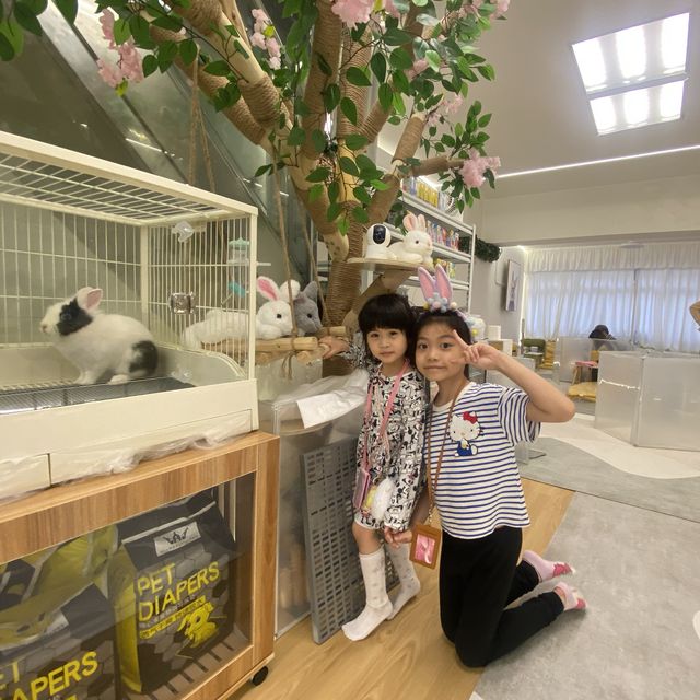 萌爆• 小兔🐰Cafe *動物控必去 萌爆• 小兔🐰Cafe *動物控必去
