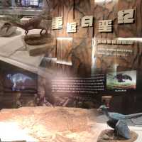 打卡深圳歷史民俗館化石展☞重返白堊紀