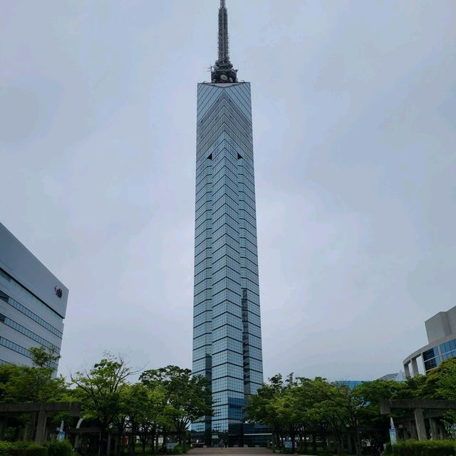 후쿠오카 모모치, 타워, 오호리공원 데이트코스