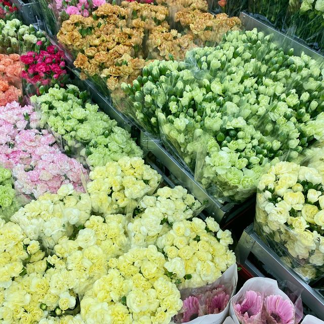 สวนเบญเเละดอกไม้จากปากคลองตลาด💐