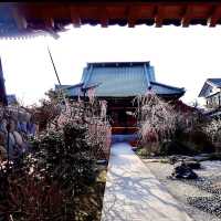光受寺
