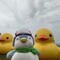 Penguins meet Rubber Ducks