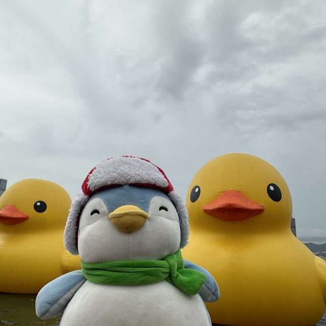 Penguins meet Rubber Ducks