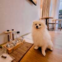 โรงแรมใหม่ดีไซน์เก๋ กลางเมืองหัวหิน น้องหมาพักได้!