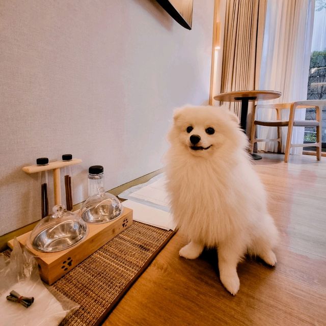 โรงแรมใหม่ดีไซน์เก๋ กลางเมืองหัวหิน น้องหมาพักได้!