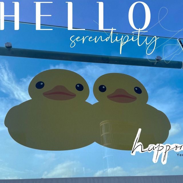 DOUBLE DUCKS橡皮鴨二重奏遊維港藝術展覽打卡